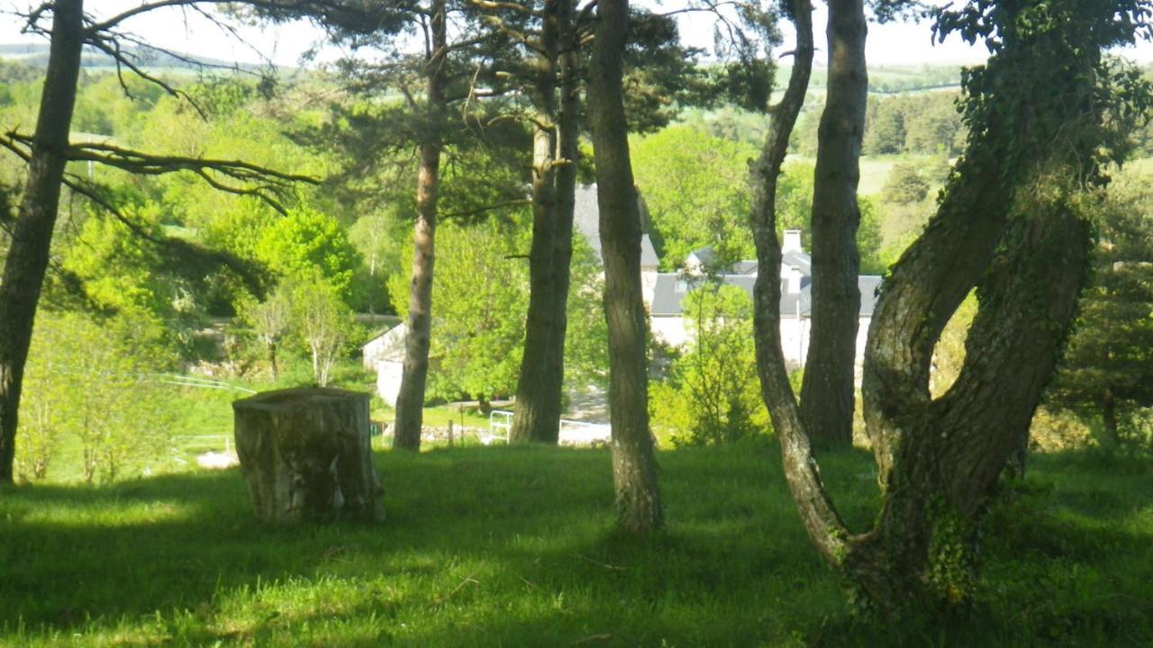 Mas De La Boheme - L'Hermet Saint-Léons Kültér fotó